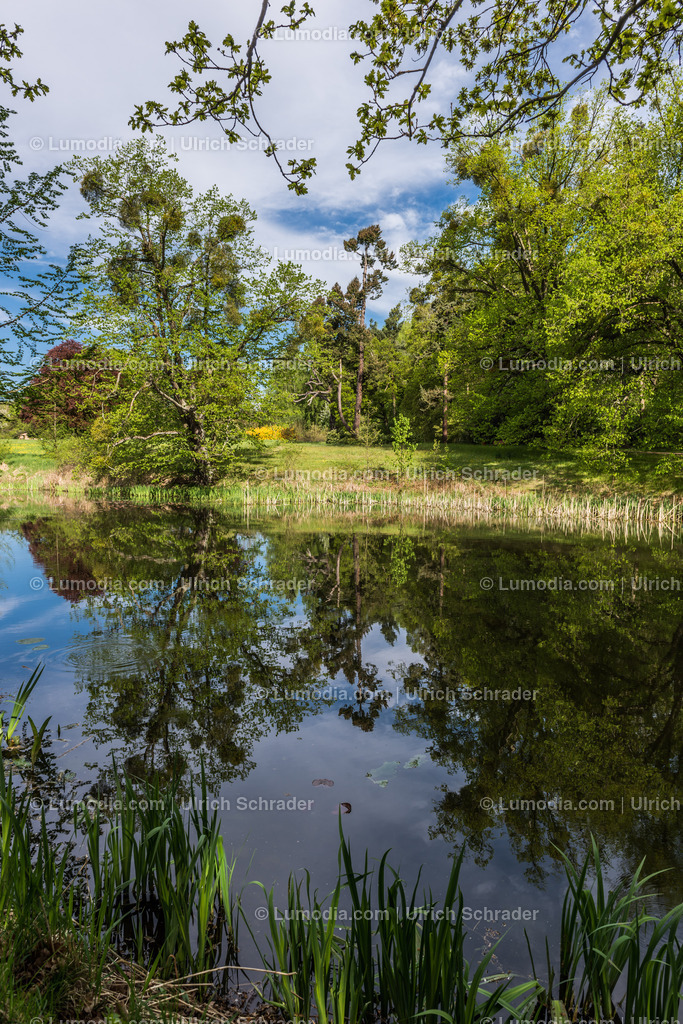10049-3848 - Landschaftspark Degenershausen | Stockfoto und Bilderpool mit Bildmaterial aus Deutschland, dem Harz, Halberstadt, Quedlinburg, Wernigerode und weltweit. Qualitativ hochwertige und professionelle Fotos anschauen und kaufen. - Realisiert mit Pictrs.com
