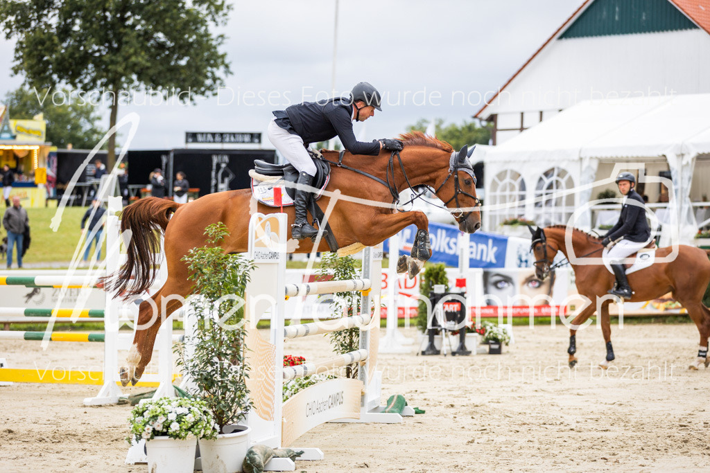 BHO-2PhSpr-M-5-2375 | MomenTaufnahmen Pferdesportfotos