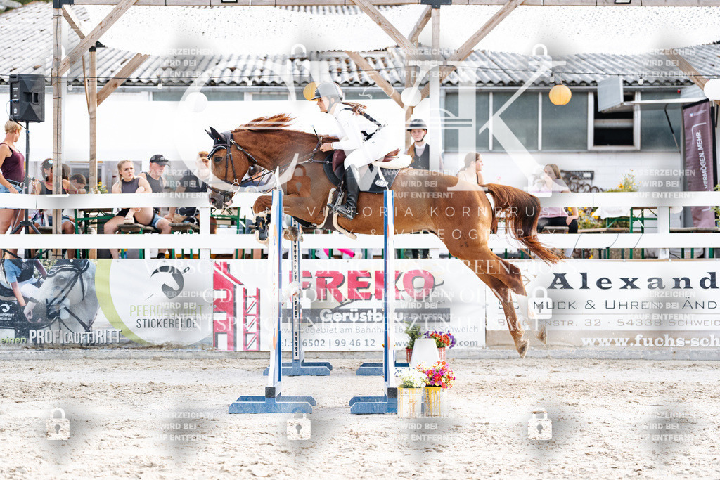 CK906954 | Turnierfotografie Pferdefotografie Trier Rheinland-Pfalz Pferdesport Reitsport Tierfotografie Sportfotografie Pferdevideo Pferdevideografie Equestrianvideography equestrianphotography  - Realisiert mit Pictrs.com