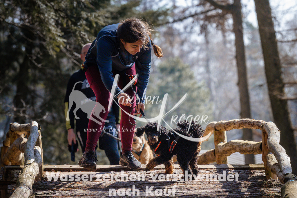 1340_ZZ95961 | kk-dogfotos