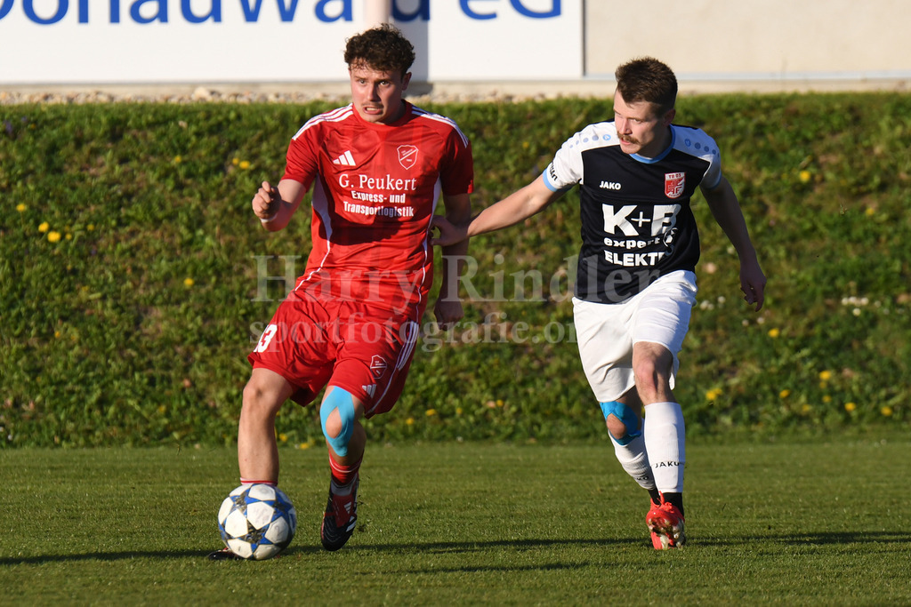 TSV Seebach : TB 03 Roding | Luca Kapfenberger (TSV Seebach #13) - Realisiert mit Pictrs.com