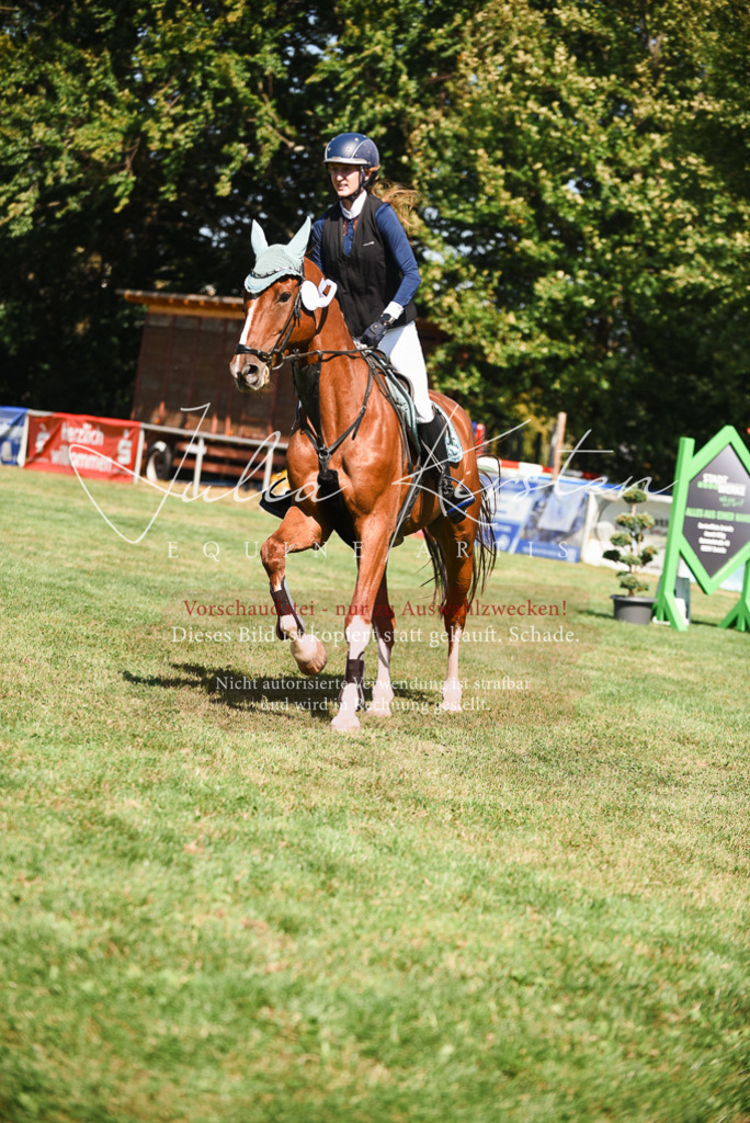 DSC_2956 | Pferde- und Turnierfotografie in Westsachsen. Pferdeportraits, Auftragszeichnungen und intuitive Kunst.
