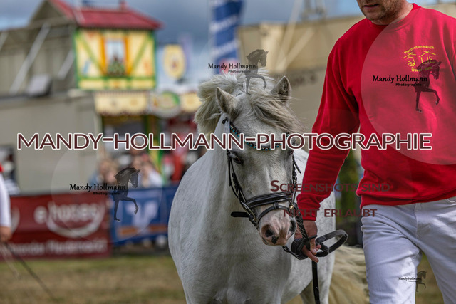 Wel (161 von 433) | mandyhollmannphotographie