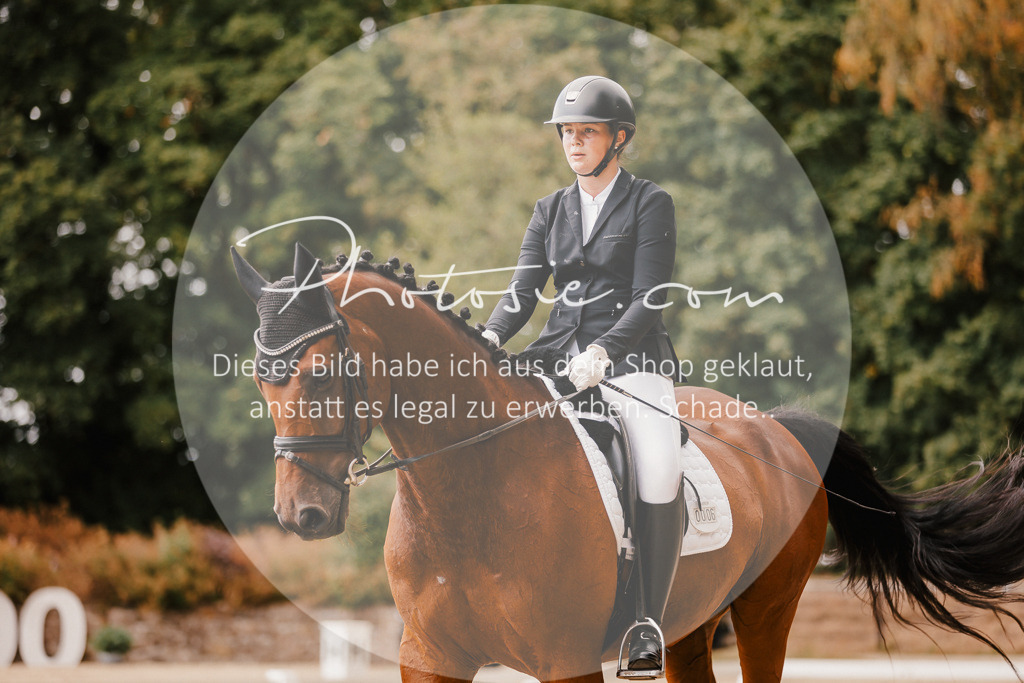 3I6A6322 | Stimmungsvolle Portraits und Reitsportfotografie im Ruhrgebiet und im Münsterland.

Pferdefotografie, Hundefotografie, Tierfotografie, Reportagen, Portraits von Tier und Mensch, Turnierfotografie in Bochum, Recklinghausen, Marl, Haltern am See, Dülmen.. - Realisiert mit Pictrs.com