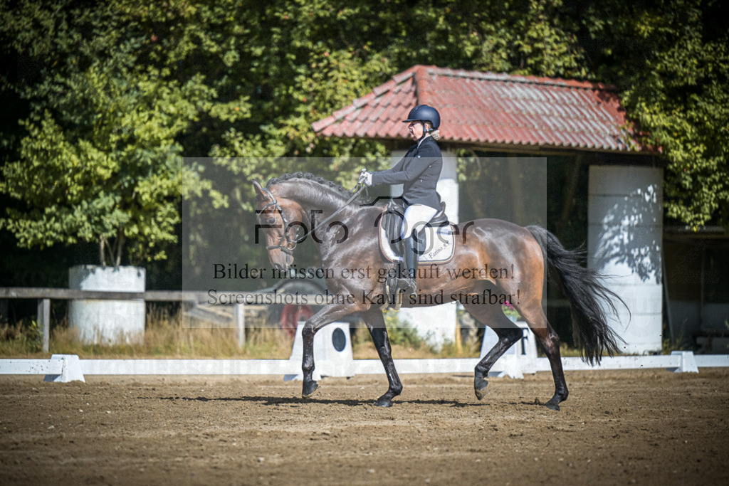 DOS_4021 | Entdecke hochwertige Reitturnierfotos von Foto Oger. Professionell, emotional und authentisch – jetzt Lieblingsmomente im Shop bestellen.Deutschlandweite Turnierfotografie. - Realisiert mit Pictrs.com