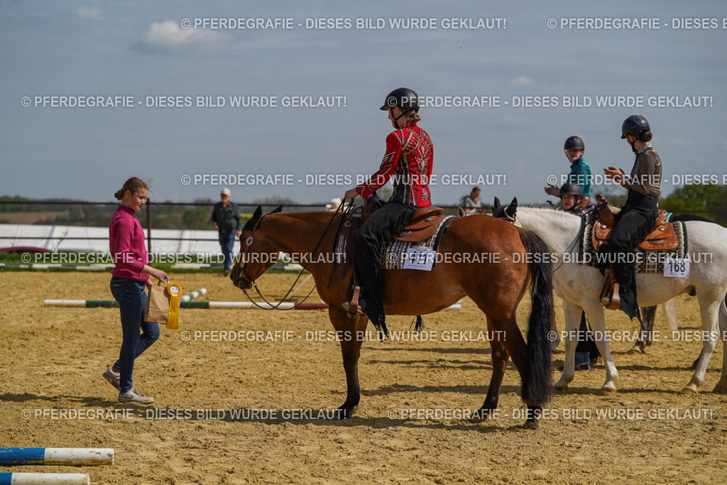 DSC04791 | Pferdegrafie