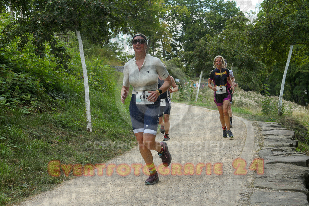 250824_1407_EX1_5014 | Sportfotografie im Rhein-Sieg Kreis, Köln, Bonn, NRW, Rheinland Pfalz, Hessen, etc. Unser Tätigkeitsfeld umfasst den Laufsport vom Volkslauf über den Marathon, Duathlon, Triathon bis zum Ultralauf wie Kölnpfad Ultra oder Schindertrail.