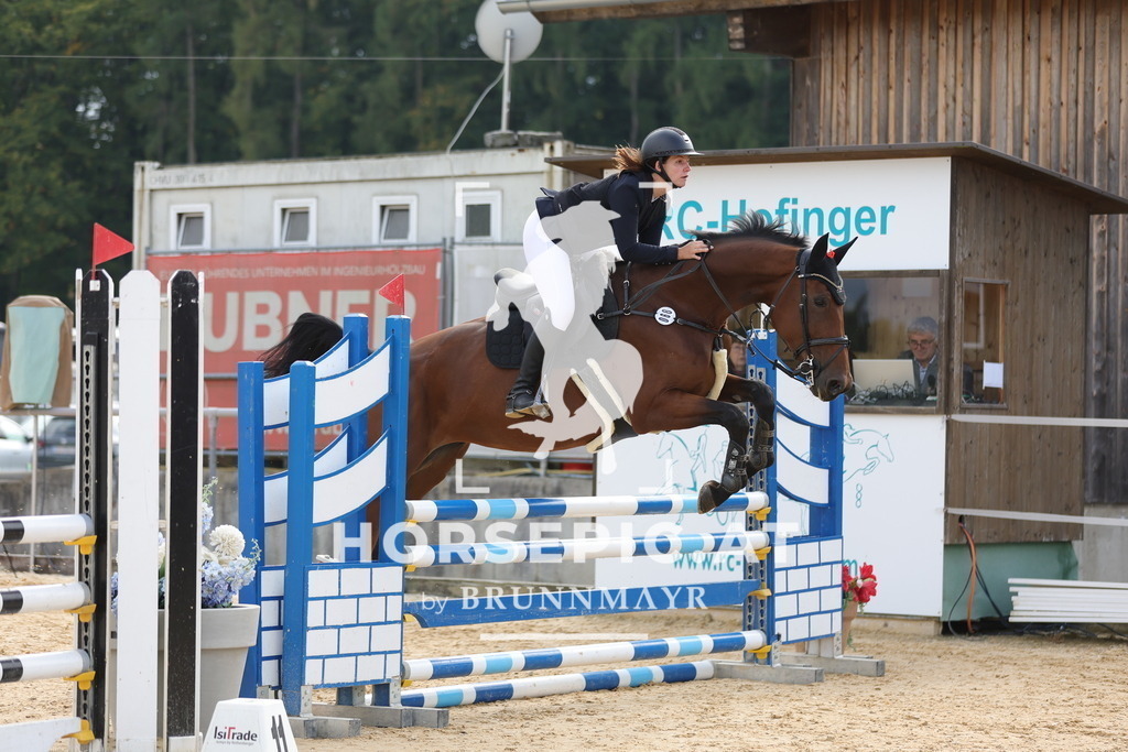 0P6A4236 | Willkommen bei Brunnmayr - Design & Fotografie – Ihrem Spezialisten für Reitturniere und Pferdeveranstaltungen in Oberösterreich, Salzburg und Bayern! Seit über 17 Jahren sind wir leidenschaftlich dabei.