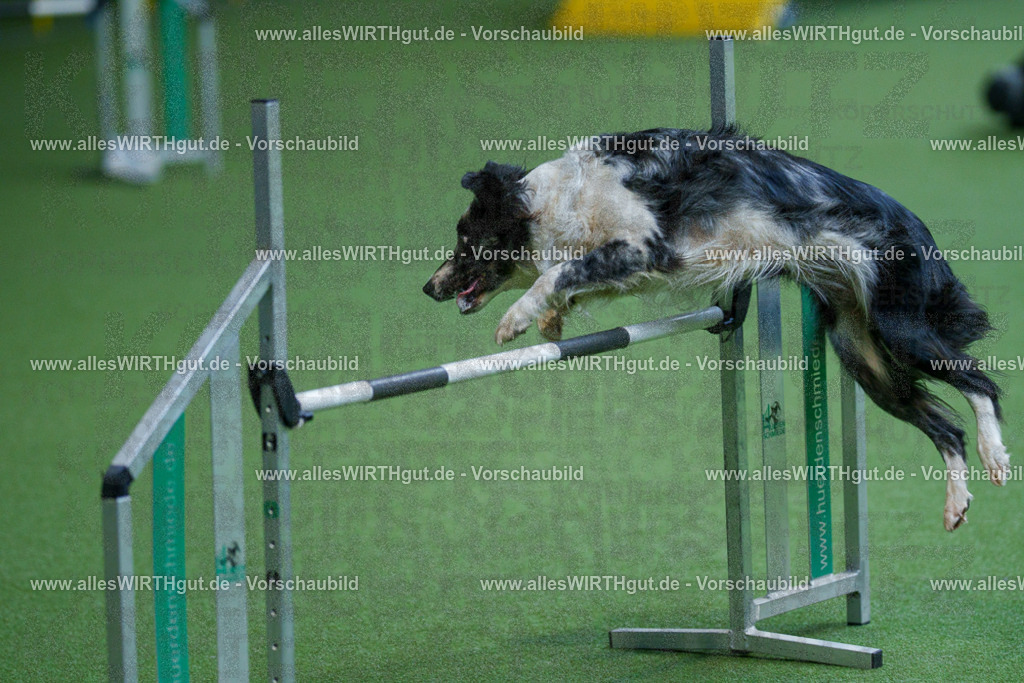 @allesWIRTHgut_Tierfotografie - www.allesWIRTHgut.de - 2604261524-7R505524 | Professionelle Tierfotografie in Mönchengladbach von Daniel Wirth (allesWIRTHgut). Liebevolle & natürliche Bilder von Hunden & Katzen für unvergessliche Erinnerungen.