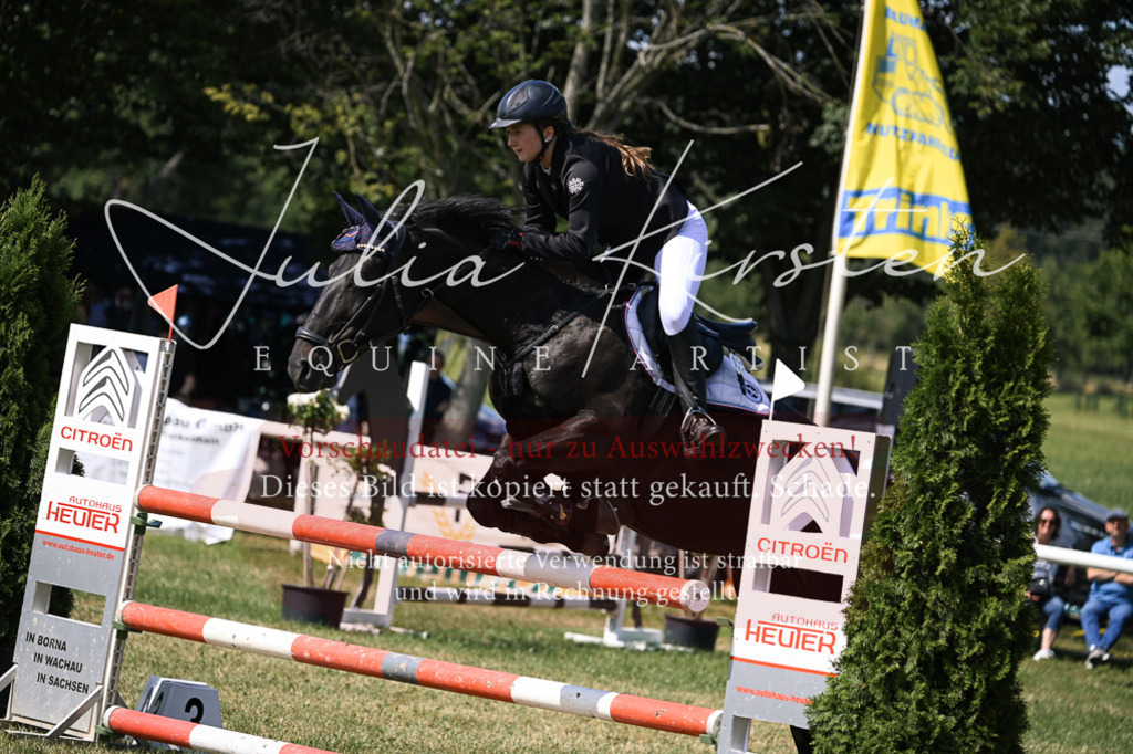 DSC_0499 | Pferde- und Turnierfotografie in Westsachsen. Pferdeportraits, Auftragszeichnungen und intuitive Kunst.