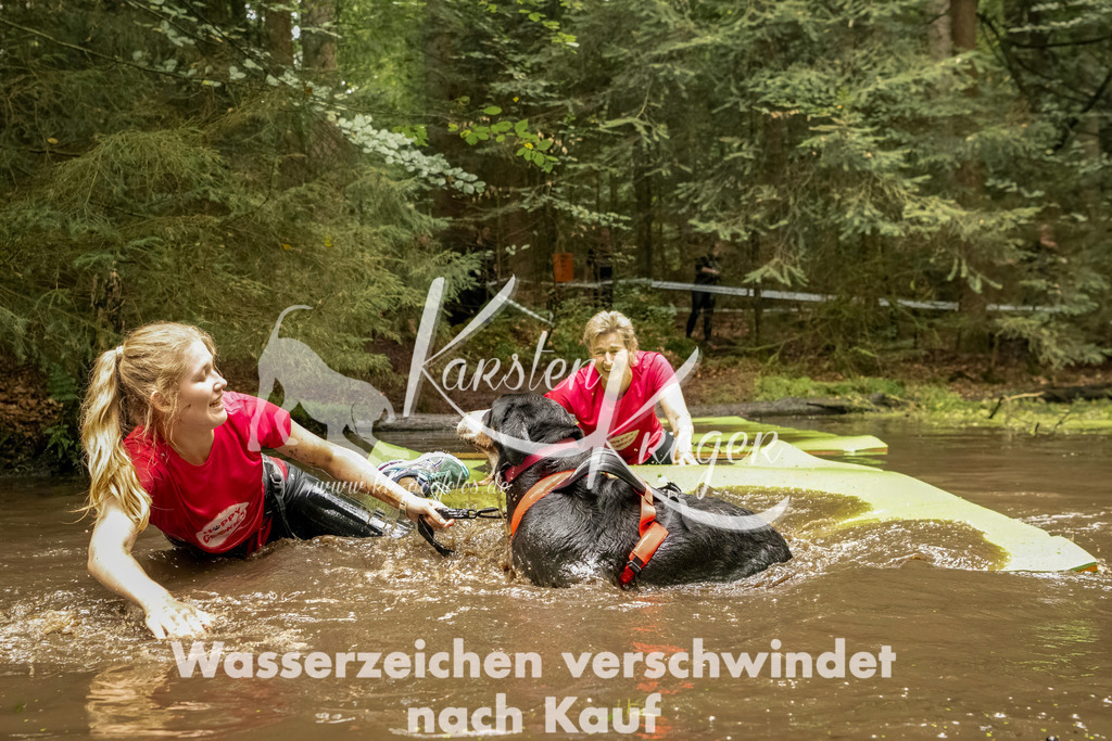 1214_ZZ93320-Bearbeitet | kk-dogfotos