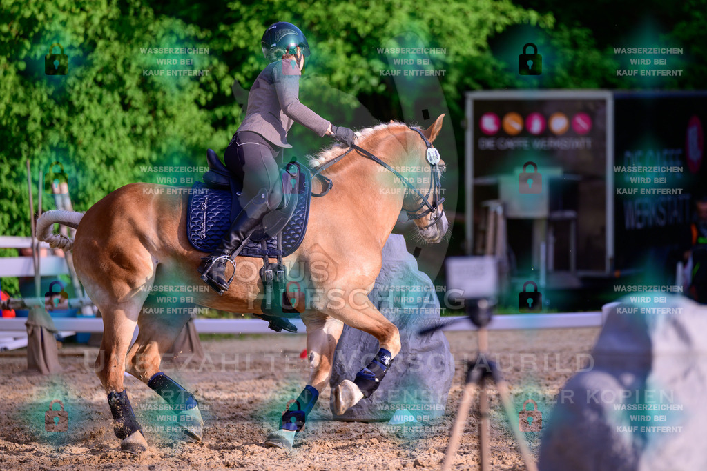 02052026-Giesenbach-03-Speedtrail-0850 | Fokus Hufschlag Fotografie - Realisiert mit Pictrs.com