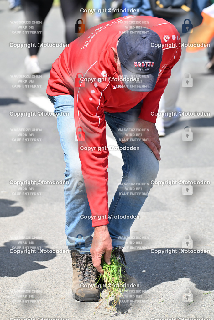 DSC_4638 | Makierungen für die Wurfrichtung