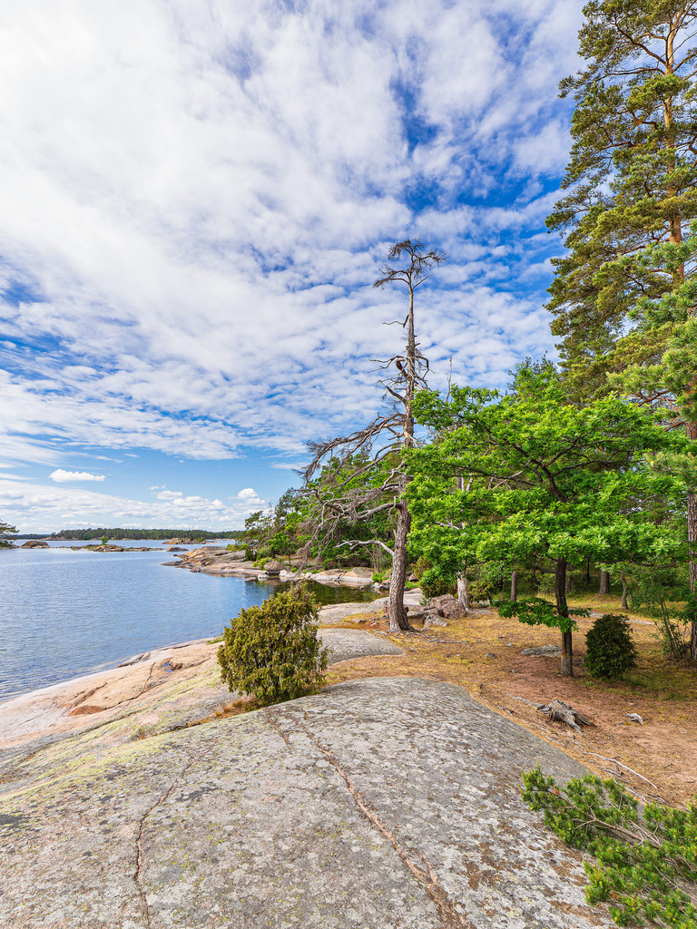 Ostseeküste mit Felsen und Bäumen bei Oskashamn in Schweden | Ostseeküste mit Felsen und Bäumen bei Oskashamn in Schweden.