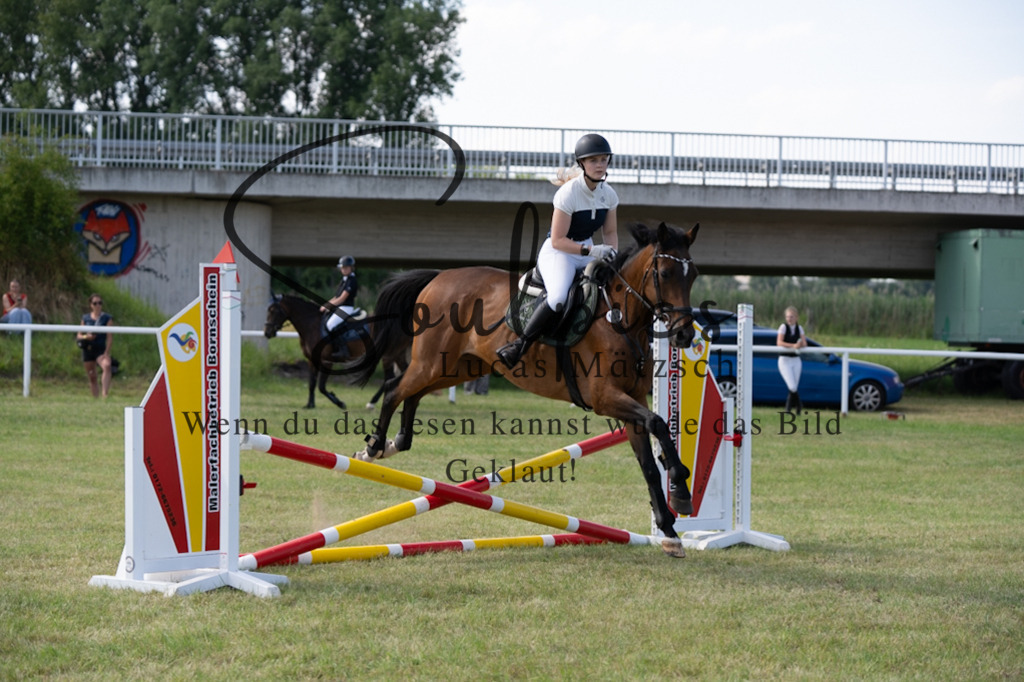 A7V00549 2 | Turnier/Reitfotograf