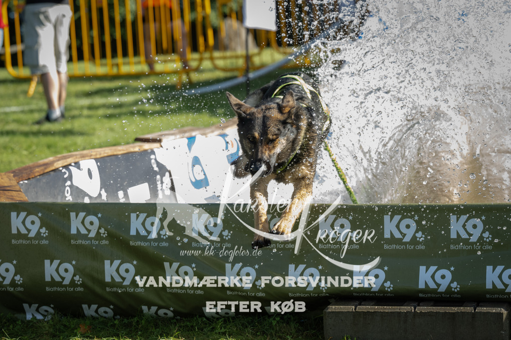 0941_ZZ96701 | kk-dogfotos
