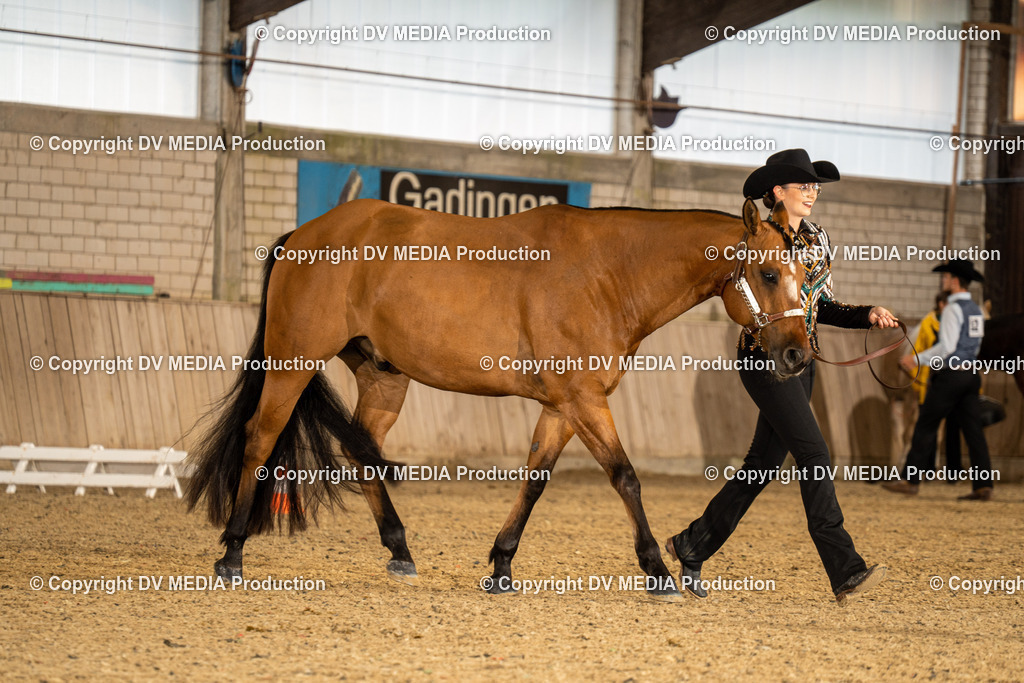 Zeiskam Tag 1-277 | dv-media-shop - Realisiert mit Pictrs.com