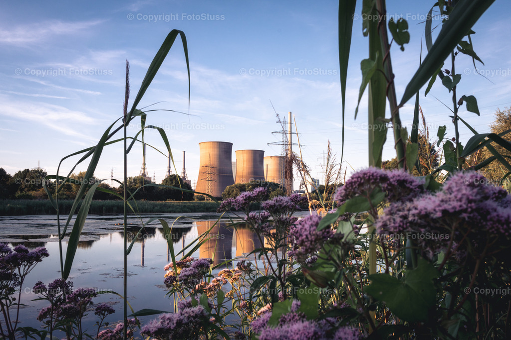 Gersteinwerk / Kraftwerk am Naturschutzgebiet | Industrie und Natur sind eigentlich zwei unterschiedliche Dinge, allerdings harmonieren sie gerade am westlichen Stadtrand sehr gut. - Realisiert mit Pictrs.com