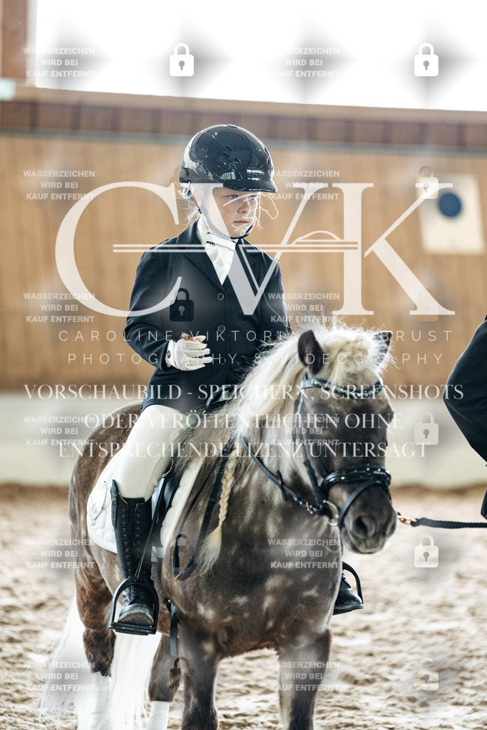 CK902333 | Turnierfotografie Pferdefotografie Trier Rheinland-Pfalz Pferdesport Reitsport Tierfotografie Sportfotografie Pferdevideo Pferdevideografie Equestrianvideography equestrianphotography  - Realisiert mit Pictrs.com