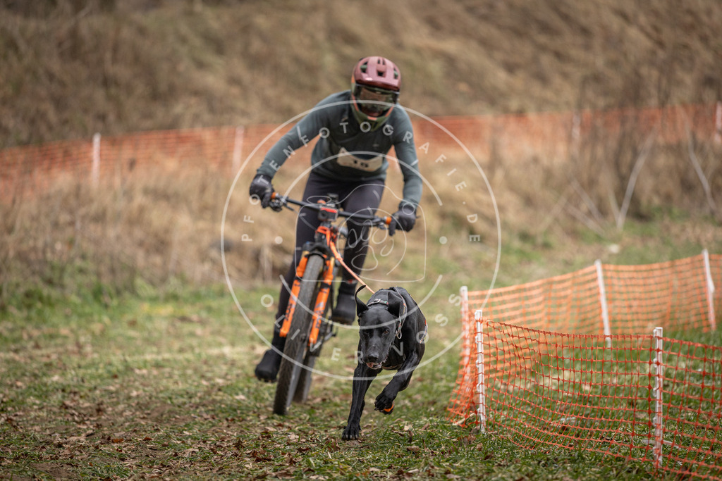 Pfotenfotografie_DV3A6867 | Hundefotografie, Tierfotograf, Pfotenfotografie, Fotoshooting Hund, Hunde Portrait, Hundesport, Hundeportraits, Heideshooting, Hunde, Sportfotograf, Hundefotograf, Turnierhundsport, THS,  - Realisiert mit Pictrs.com