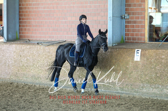 DKP42324 | Turniersportfotografie; Pferdefotografie; Dressurfotografie