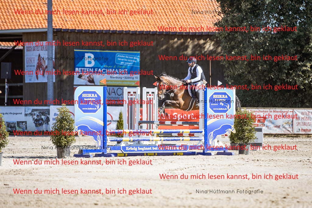 BK1A7931 | Turnierbilder Turnierfotos Nina Hüffmann Turnierfotografie Pferdefotografie Tierzeichnung Haustierzeichnung Pferdezeichnung Hundezeichnung Videograf  - Realisiert mit Pictrs.com