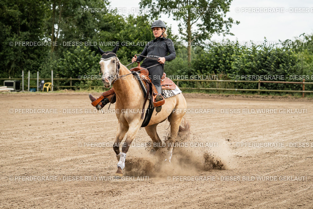 DSC04779 | Pferdegrafie