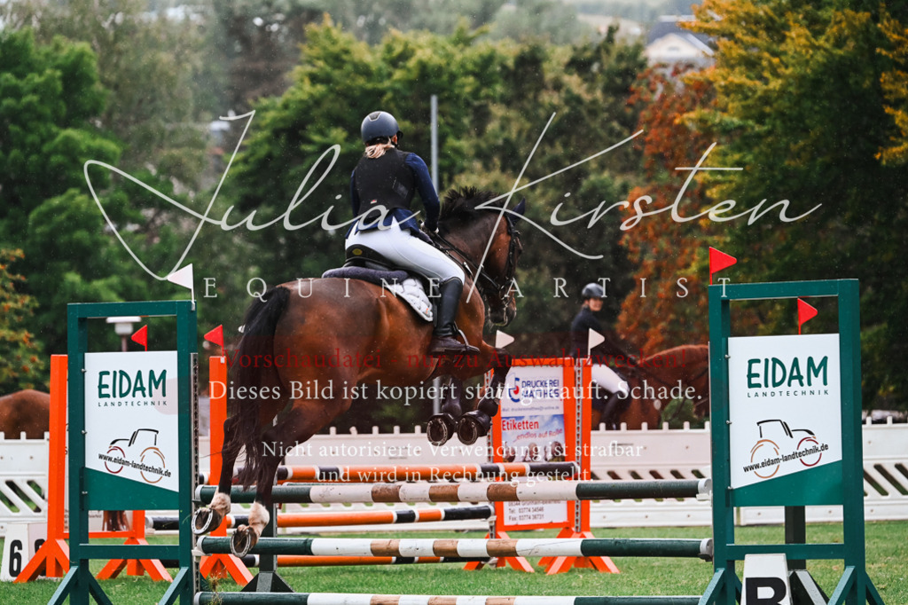 DSC_6403 | Pferde- und Turnierfotografie in Westsachsen. Pferdeportraits, Auftragszeichnungen und intuitive Kunst.
