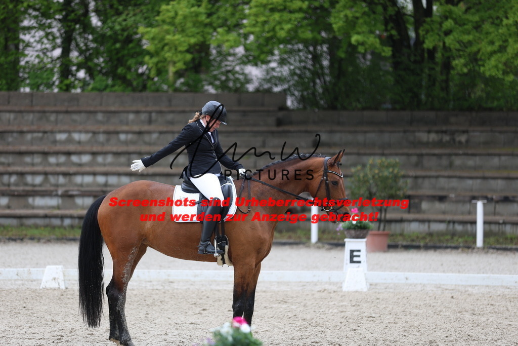 A40A8454 | lmwpictures - Realisiert mit Pictrs.com