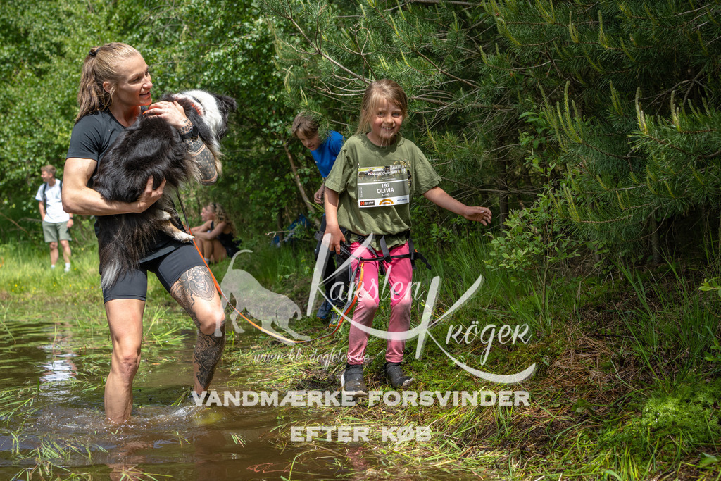 1221DKK992615 | kk-dogfotos