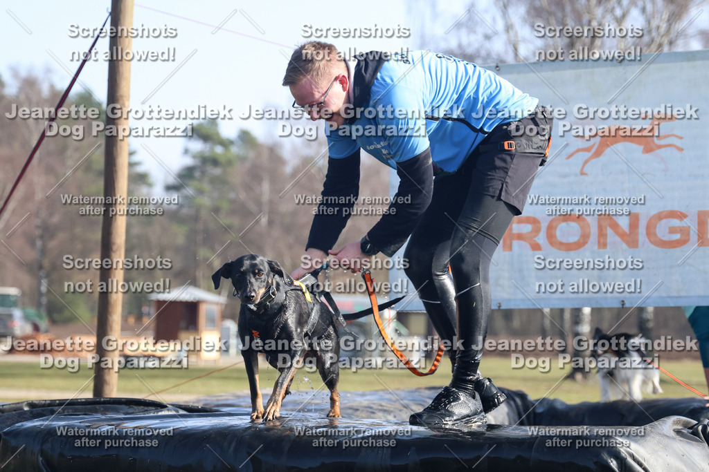 Dog Paparazzi - Strongdog North Mrz26-1439 | Dog Paparazzi Jeanette Grottendiek Fotografie & Videografie - Realisiert mit Pictrs.com