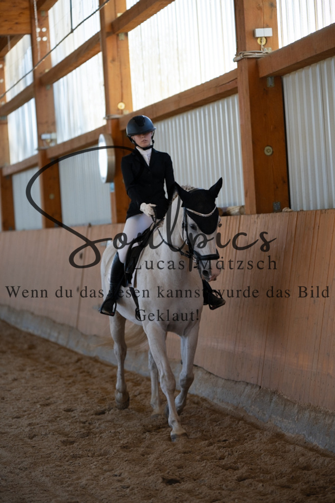 A7V01667 | Turnier/Reitfotograf