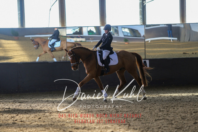 IMG_2110 | Turniersportfotografie; Pferdefotografie; Dressurfotografie