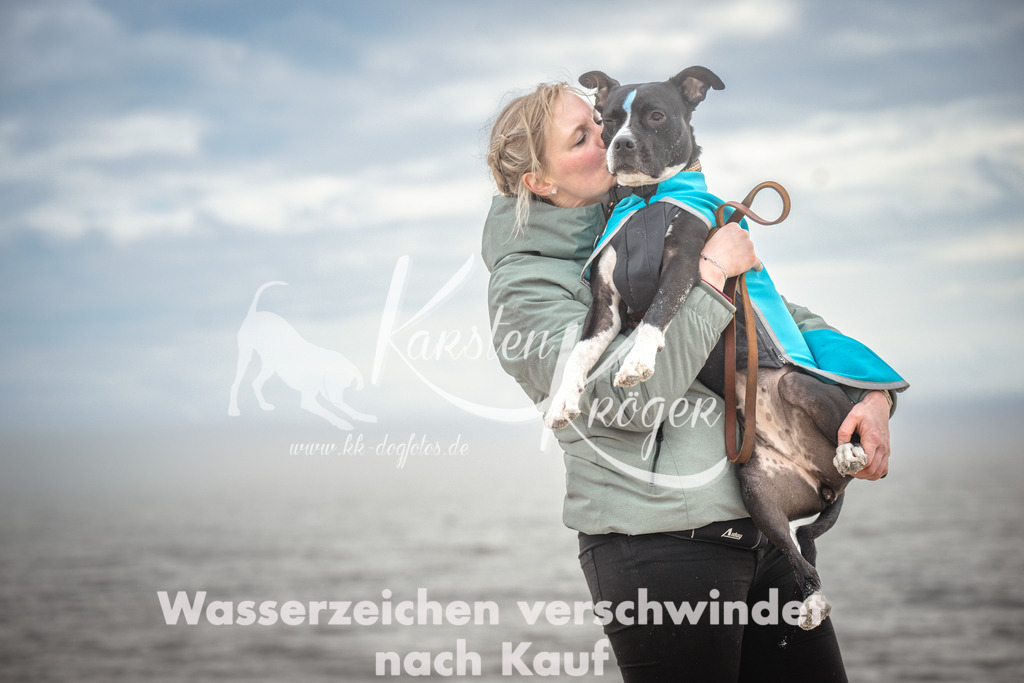 1149_ZZ91826 | kk-dogfotos