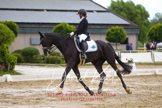 DKP40513 | Turniersportfotografie; Pferdefotografie; Dressurfotografie