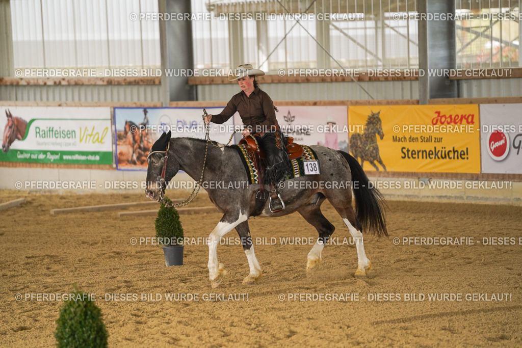 DSC04791 | Pferdegrafie