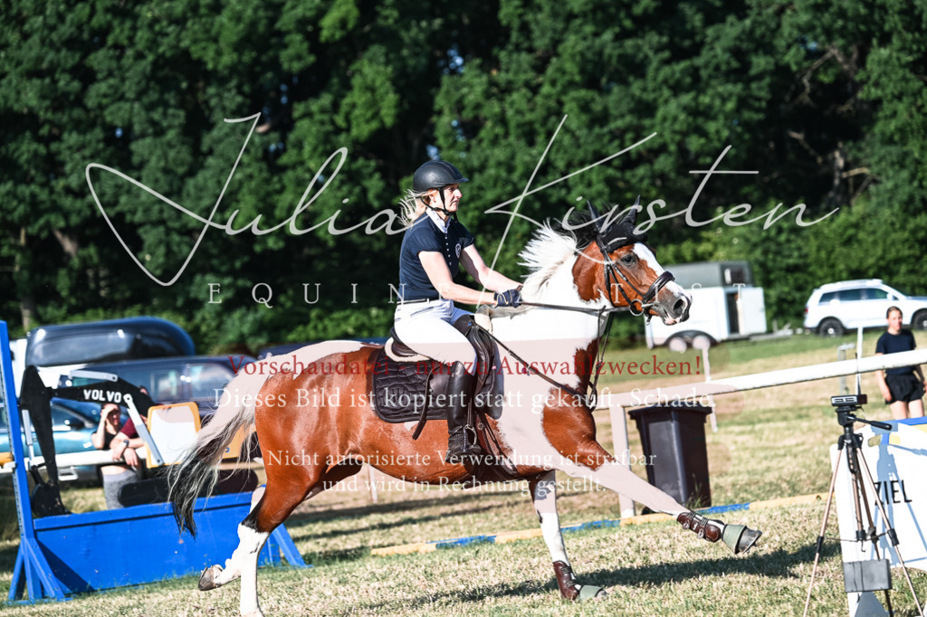 DSC_2850 | Pferde- und Turnierfotografie in Westsachsen. Pferdeportraits, Auftragszeichnungen und intuitive Kunst.