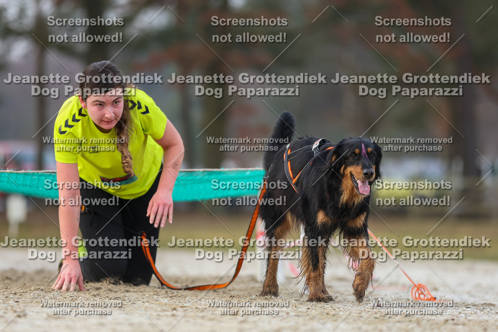 Dog Paparazzi - Strongdog North Mrz26-3736 | Dog Paparazzi Jeanette Grottendiek Fotografie & Videografie - Realisiert mit Pictrs.com