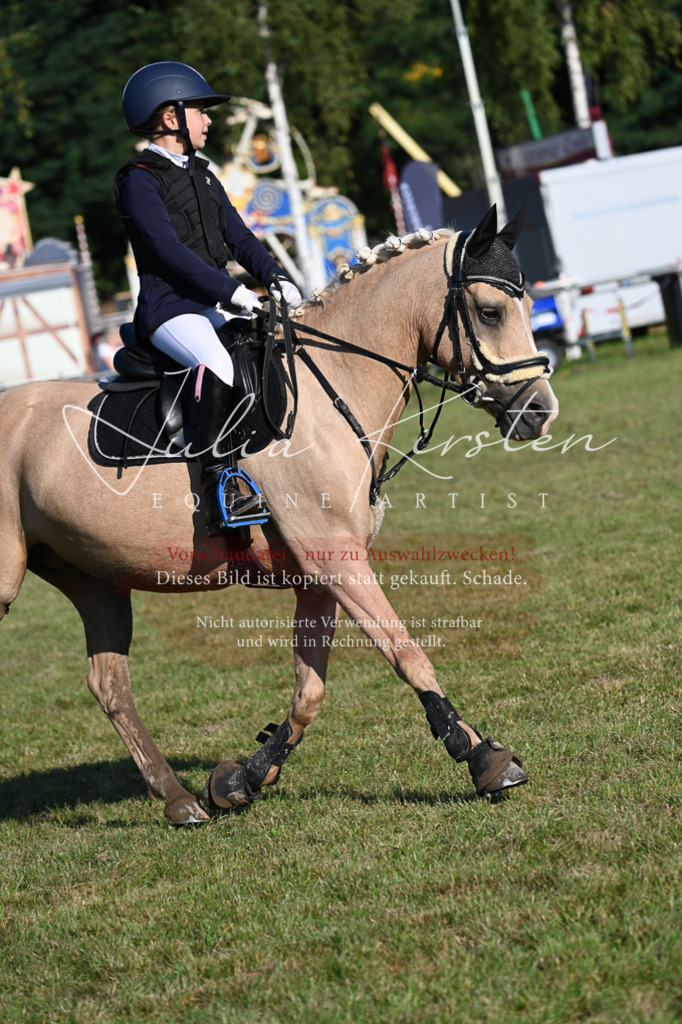 DSC_4716 | Pferde- und Turnierfotografie in Westsachsen. Pferdeportraits, Auftragszeichnungen und intuitive Kunst.