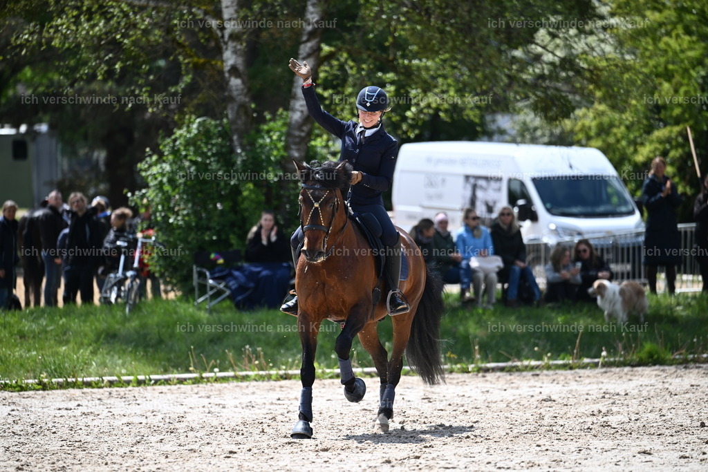PI26_SP_Sara_Landvogt_226_5786.JPG | working equitationturnier fotograf videograf stoibphotography marixx film working equitation deutschland reitsport turnierfotografie eventfotografie equestrian events