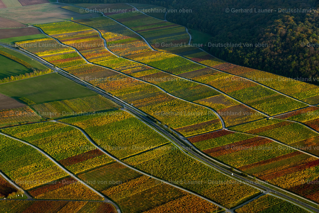 3905460 | Weinberge am Busigberg Großheubach