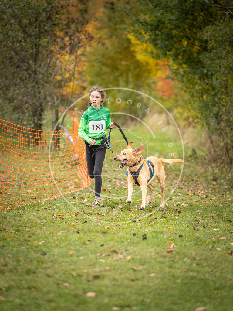 Pfotenfotografie_DV3A3762 | Hundefotografie, Tierfotograf, Pfotenfotografie, Fotoshooting Hund, Hunde Portrait, Hundesport, Hundeportraits, Heideshooting, Hunde, Sportfotograf, Hundefotograf, Turnierhundsport, THS,  - Realisiert mit Pictrs.com