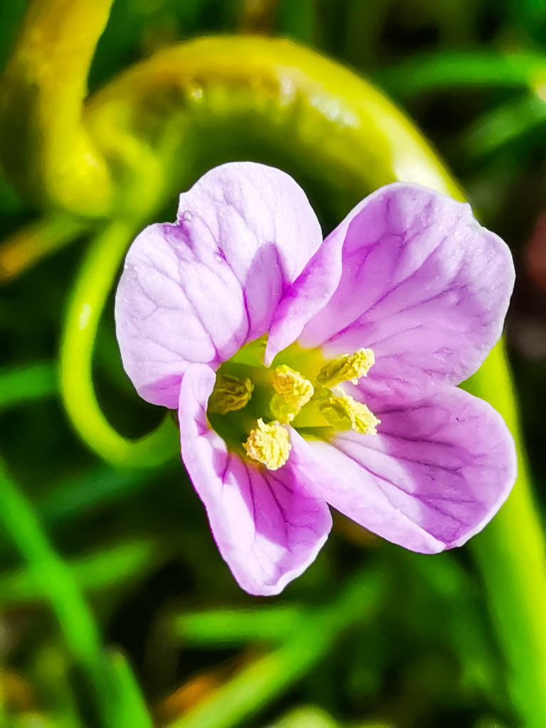 PSX_20230406_234932 | mtkfoto_ - Realisiert mit Pictrs.com