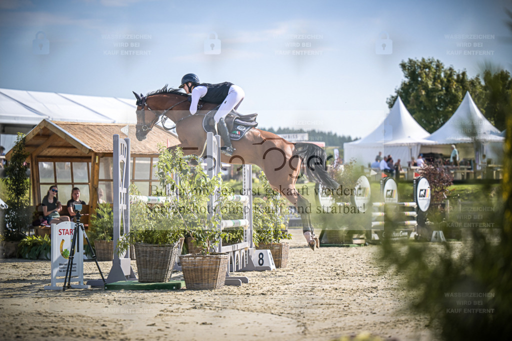 DOS_9113 | Entdecke hochwertige Reitturnierfotos von Foto Oger. Professionell, emotional und authentisch – jetzt Lieblingsmomente im Shop bestellen. - Realisiert mit Pictrs.com