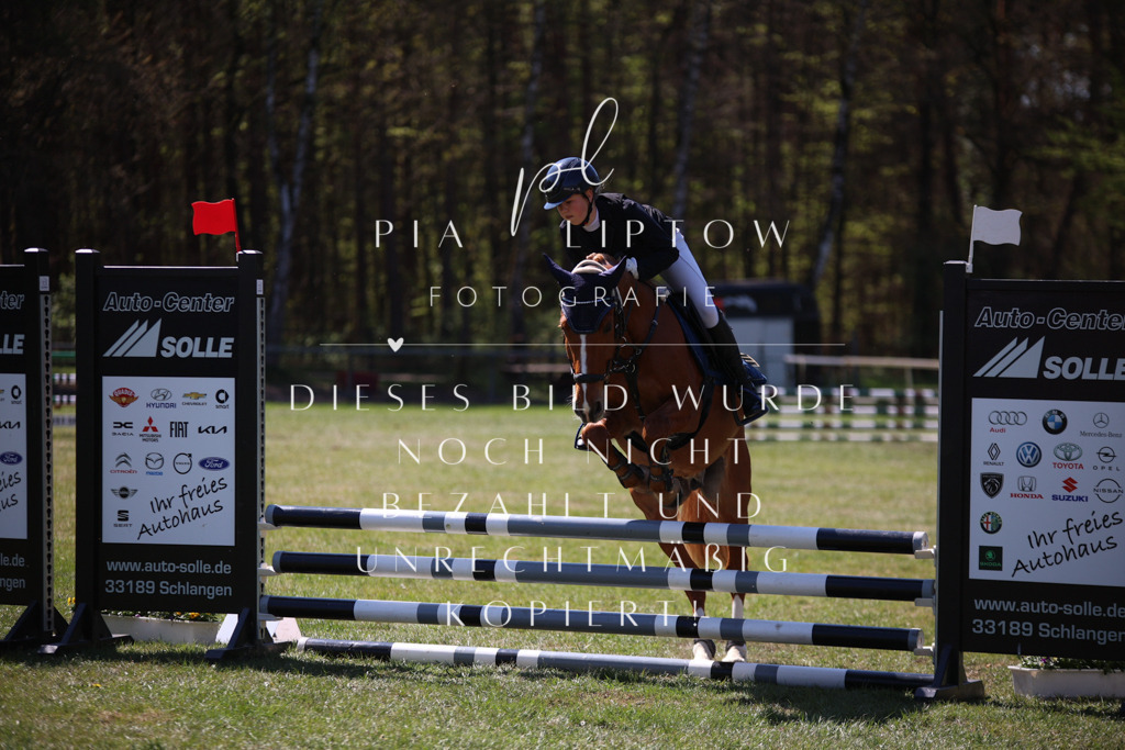 IMGT8149 | pl-fotografie