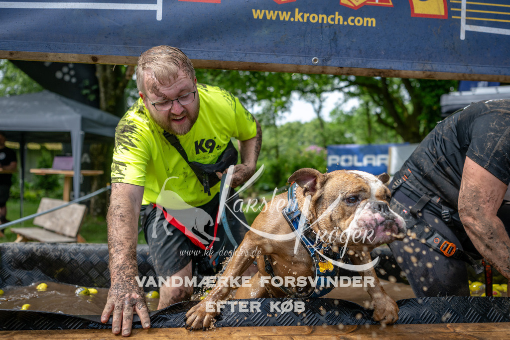 1115_ZZ93495 | kk-dogfotos