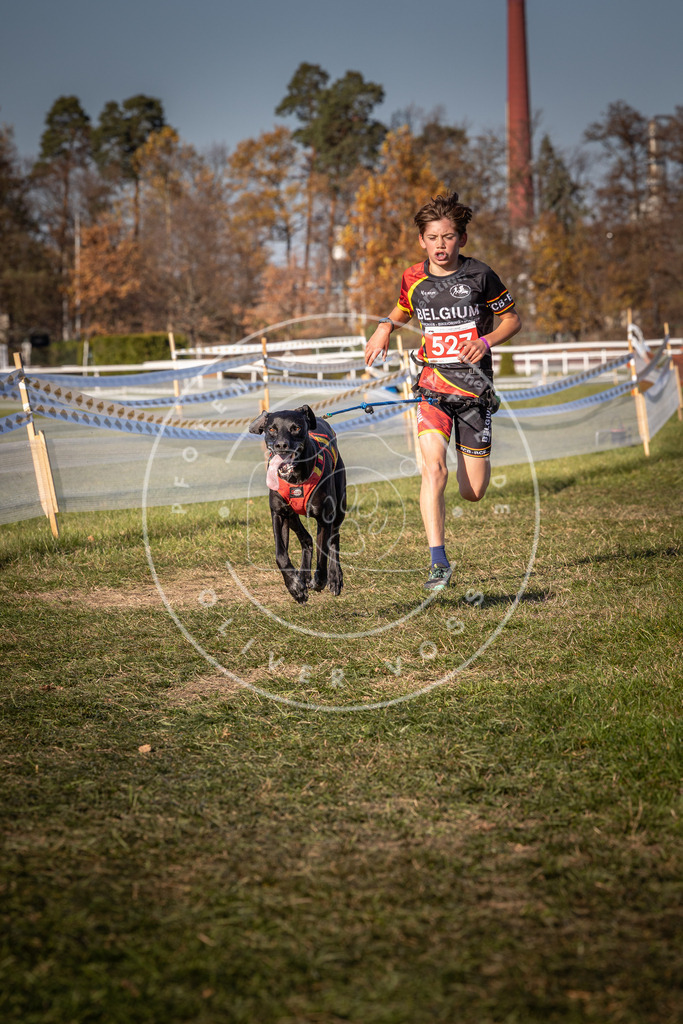 CaniXpix_0L8A7235 | Hundefotografie, Tierfotograf, Pfotenfotografie, Fotoshooting Hund, Hunde Portrait, Hundesport, Hundeportraits, Heideshooting, Hunde, Sportfotograf, Hundefotograf, Turnierhundsport, THS,  - Realisiert mit Pictrs.com