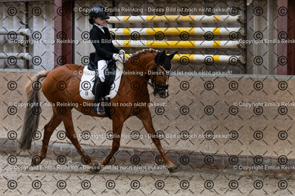 CL5A5368 | Emilia Reinking Fotografie - Realisiert mit Pictrs.com