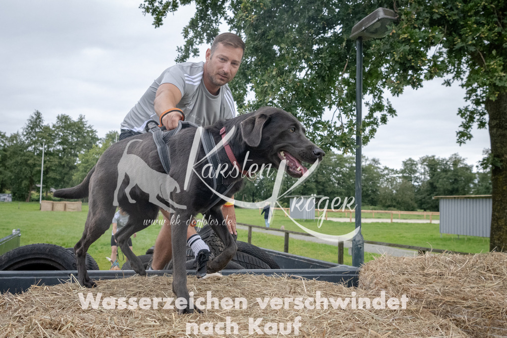 _ZZ91922 | kk-dogfotos