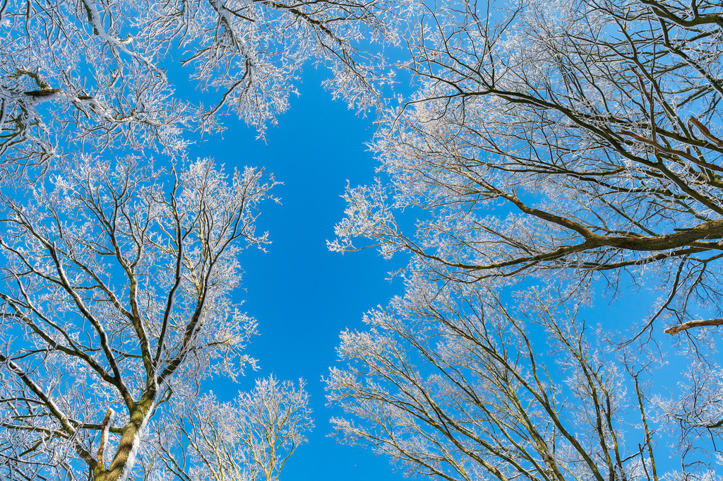 2023_03_11_MCP7247 | Hochwertig gedruckte Fotografien für die Wand, als Kalender und zum Verschenken. Hamburg & Norddeutschland und überall wo ich mit der Kamera unterwegs war.